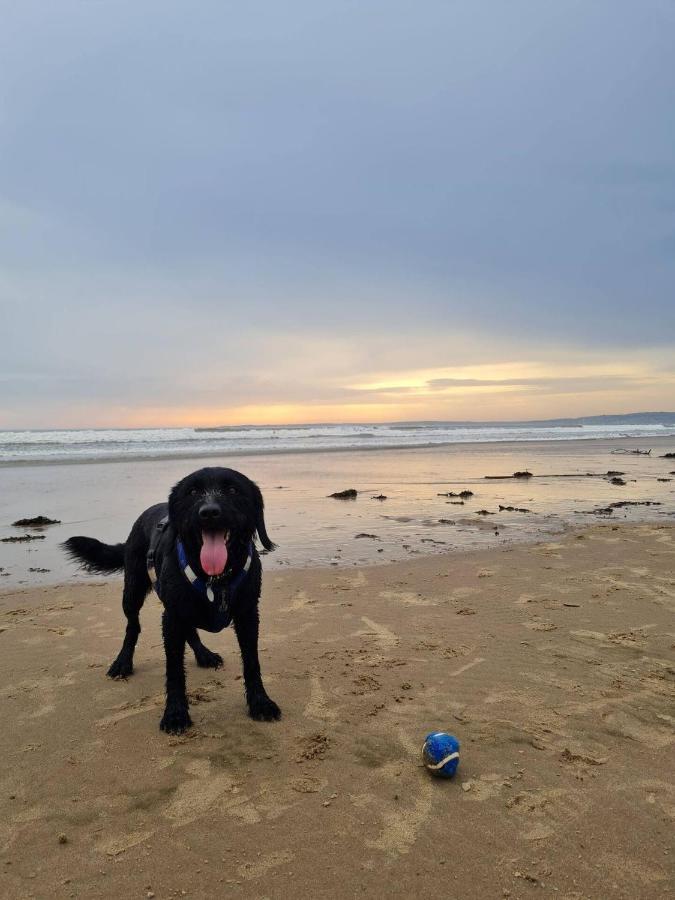 Old Road Cottage Pet Friendly Outdoors Beaches Neath Eksteriør billede